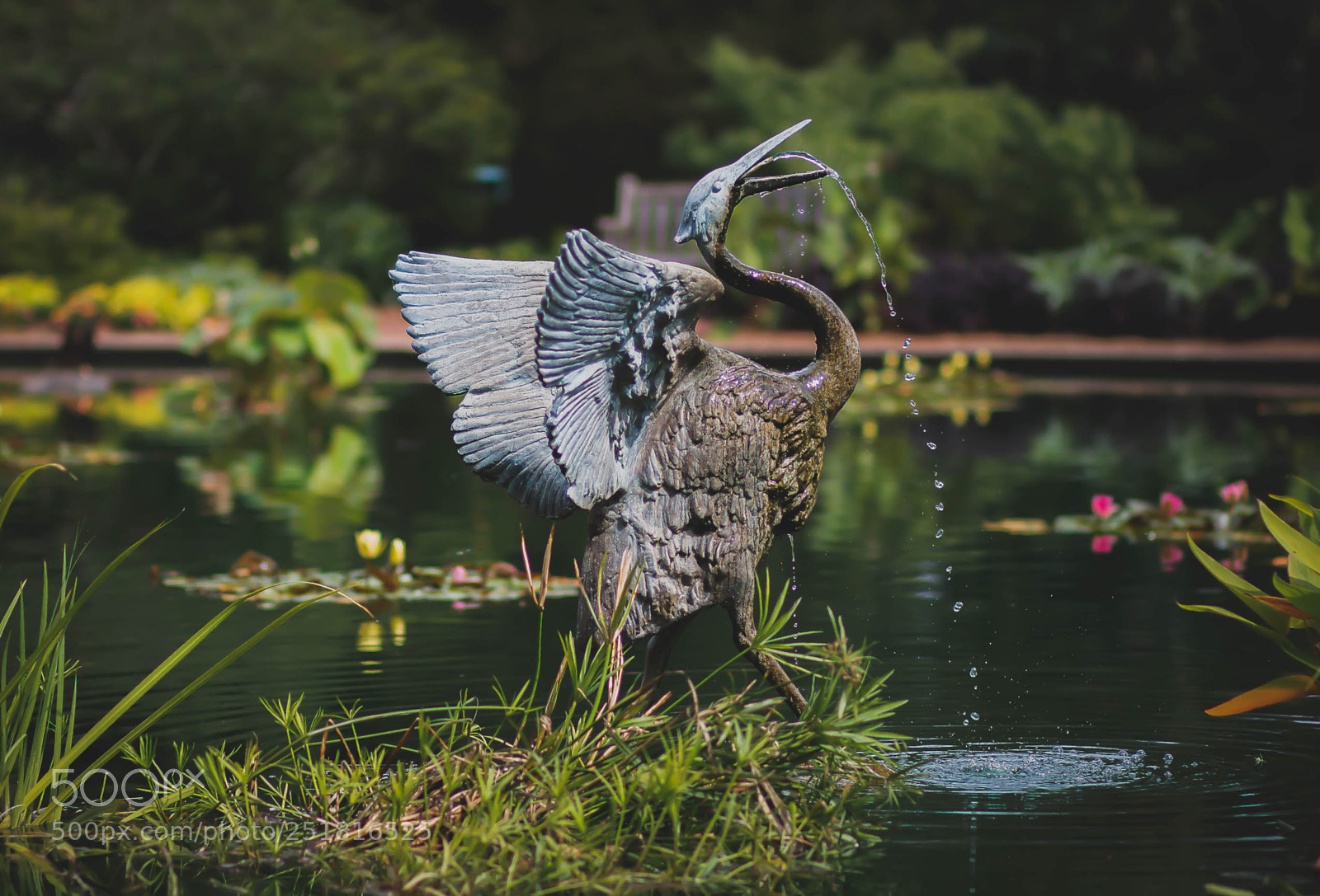 Canon EOS 70D sample photo. Beauty of nature and photography