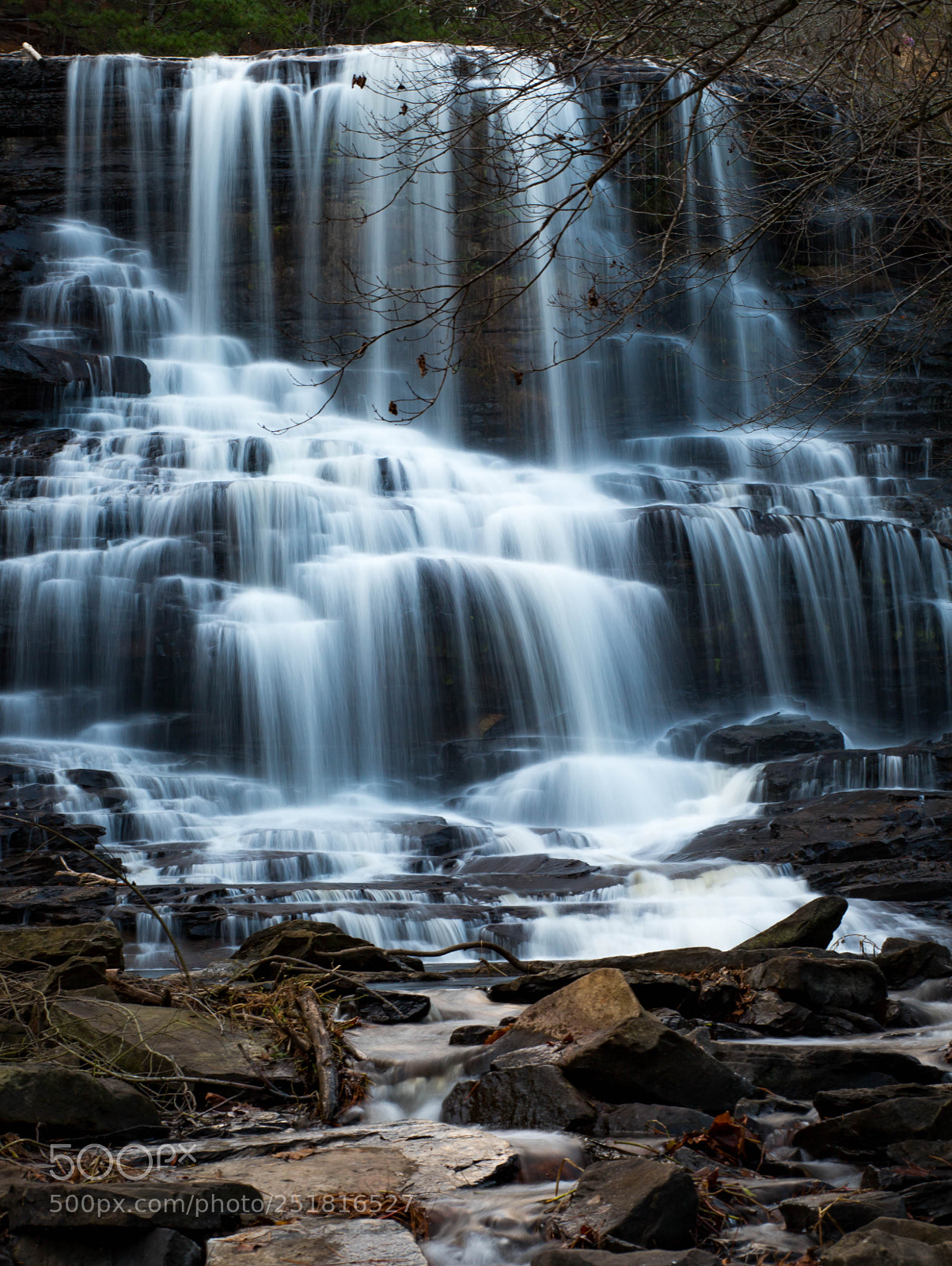 Canon EOS 6D Mark II sample photo. Beauty of nature and photography