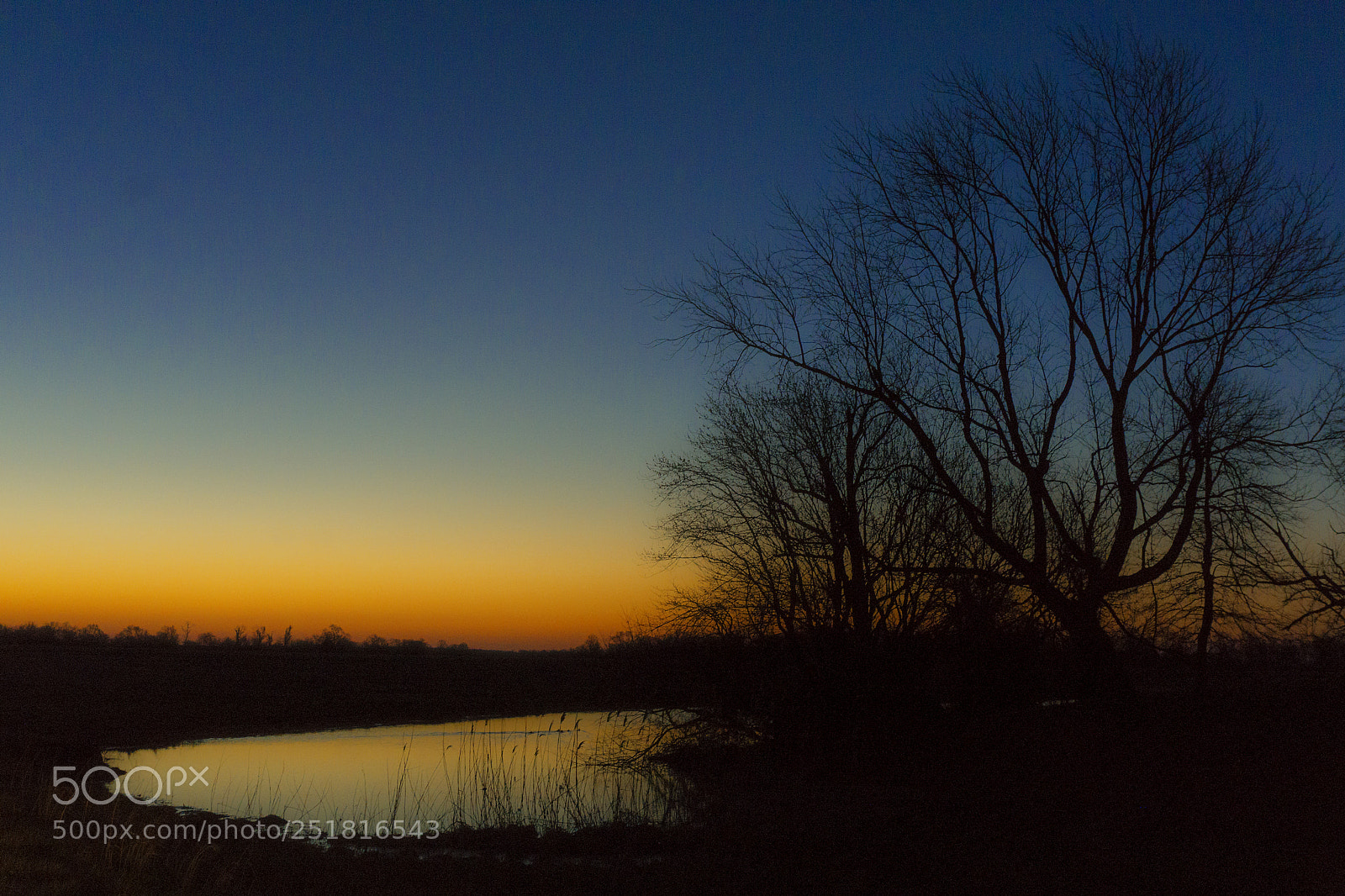 Sony a6000 sample photo. Sunrise maryland photography