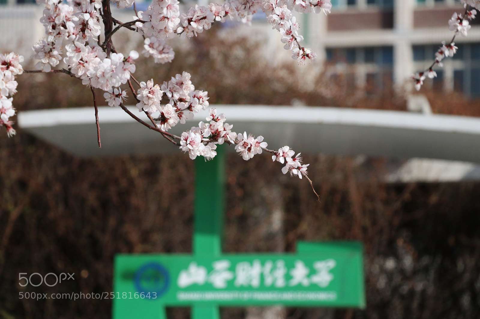 Canon EOS 80D sample photo. Untitled photography