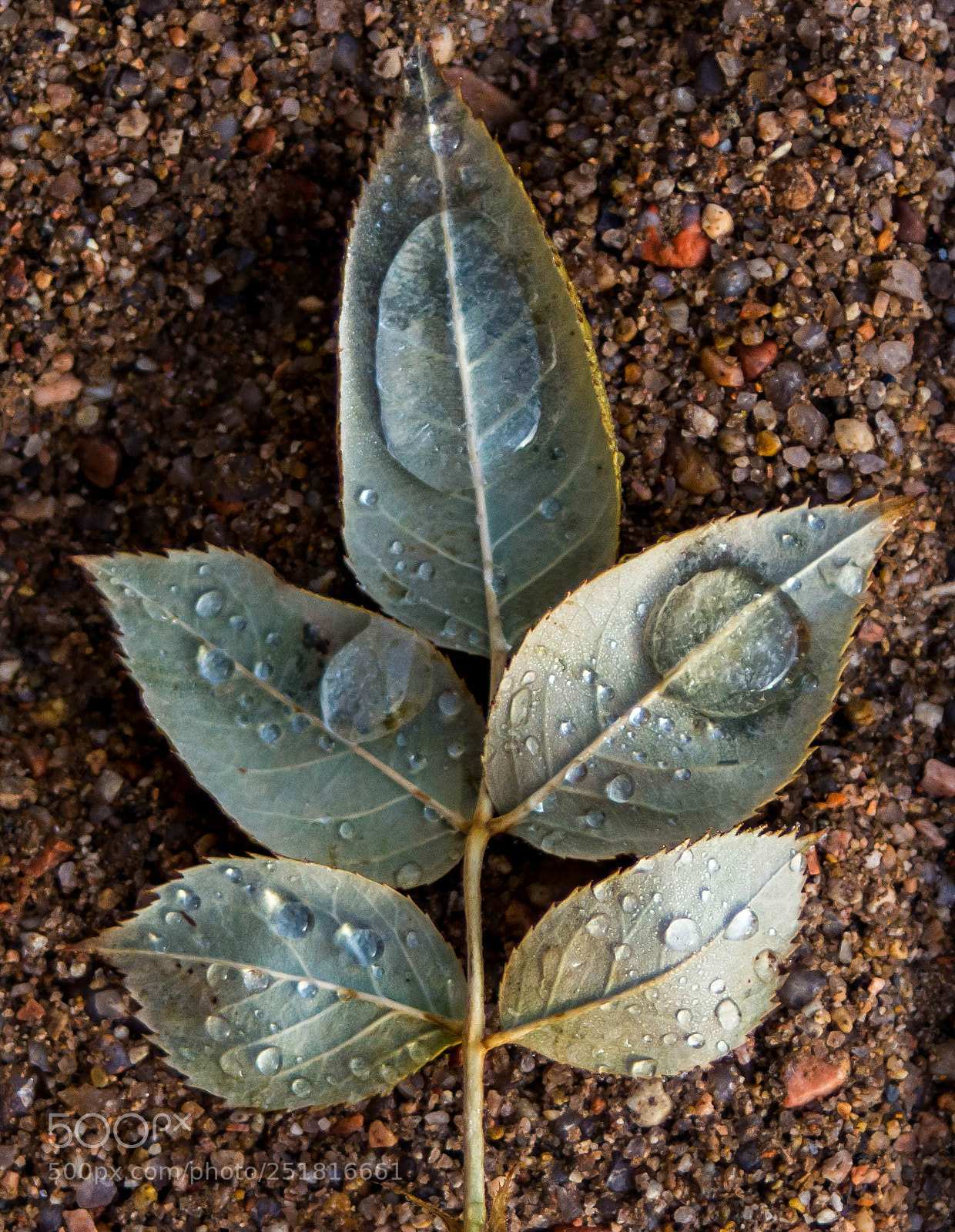 Nikon D7100 sample photo. Untitled photography