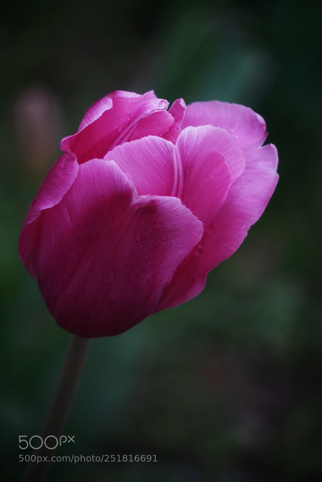 Sony a6000 sample photo. Untitled photography