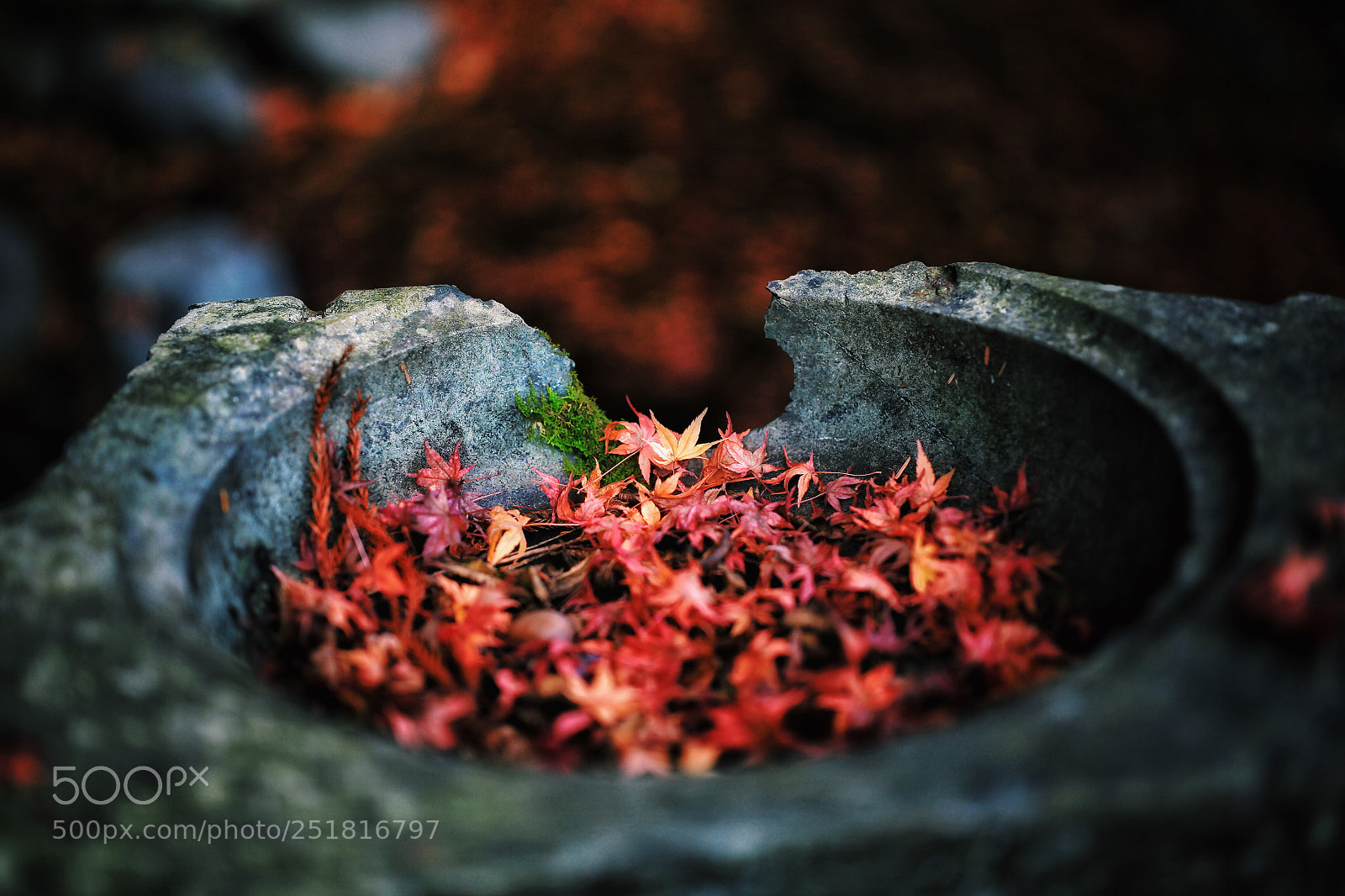 Canon EOS 5D Mark II sample photo. Untitled photography