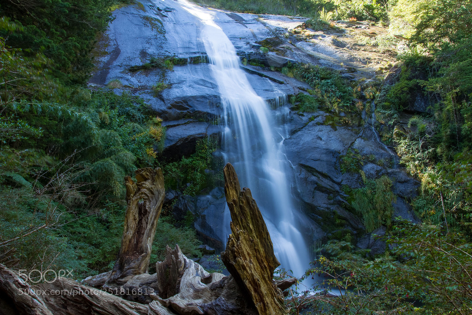 Canon EOS 7D sample photo. Parque nacional huelquehue photography