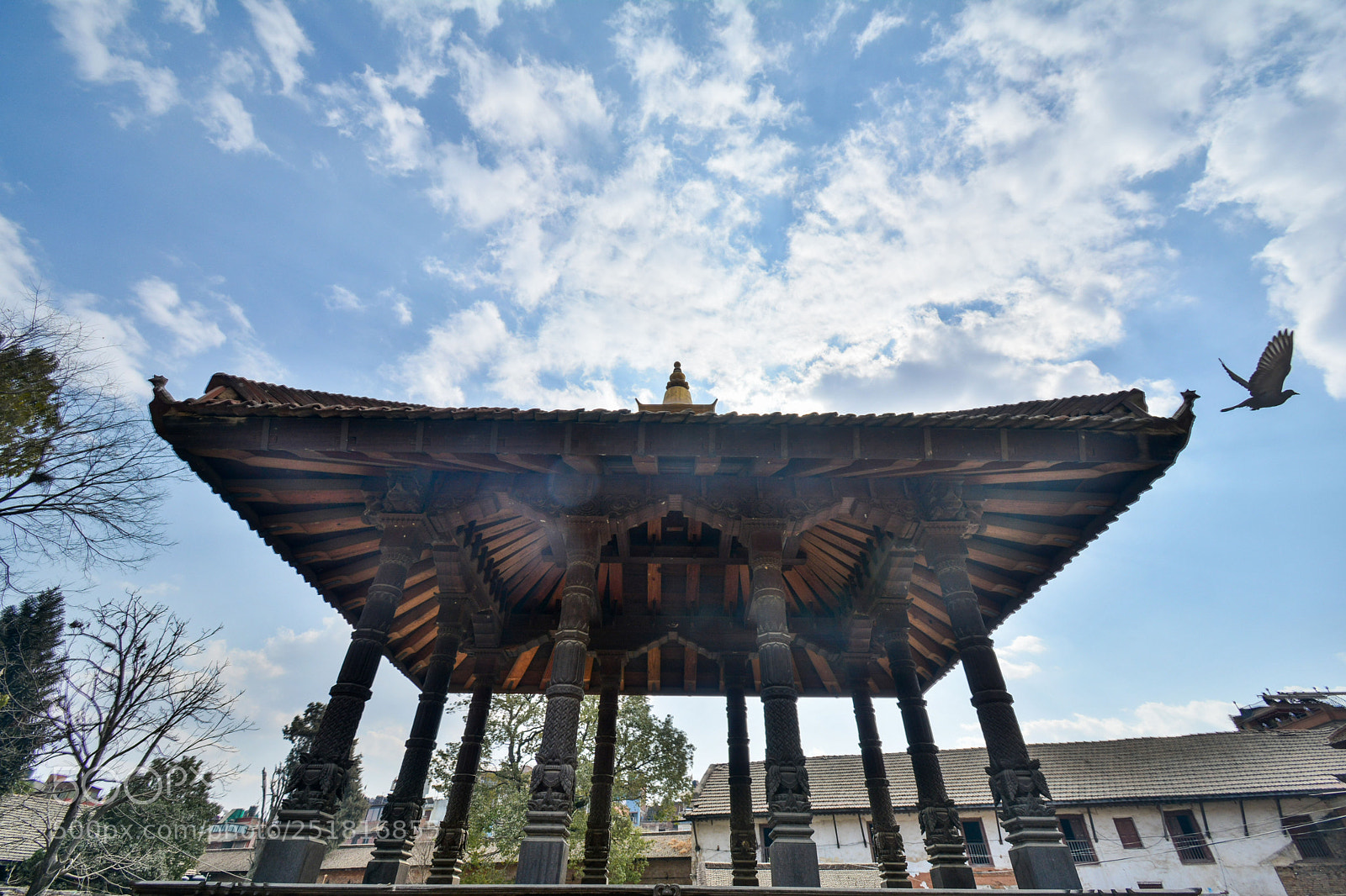Nikon D7100 sample photo. Fly photography