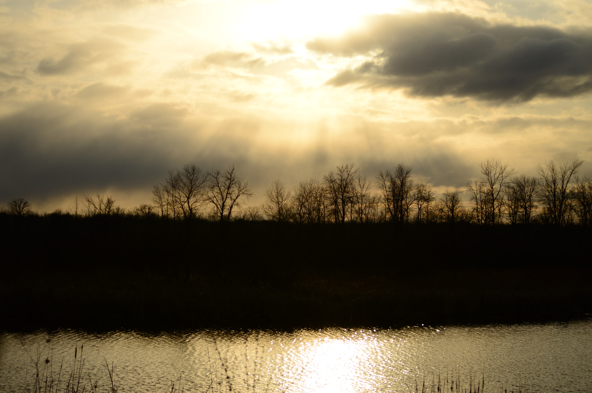 Nikon D3200 sample photo. Copper water photography