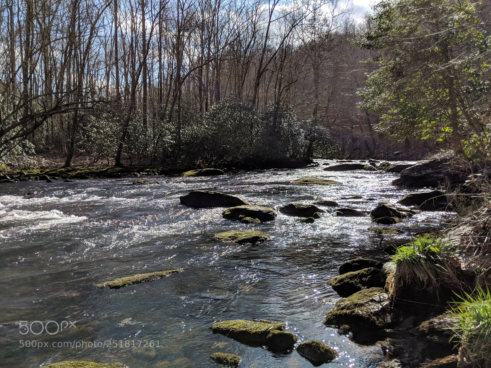 Google Pixel 2 XL sample photo. Nantahala mar 2018 photography