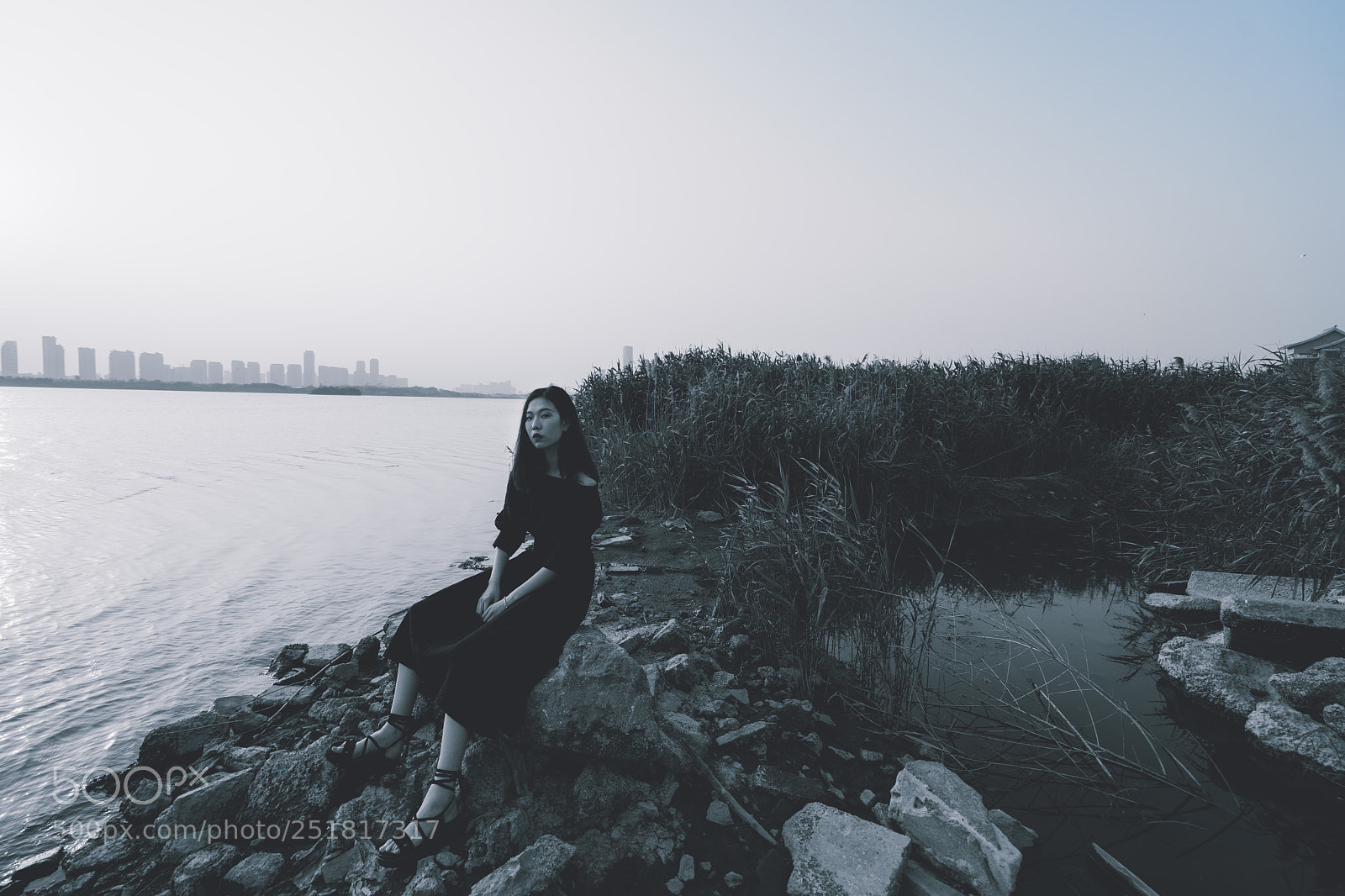 Sony a7 II sample photo. Untitled photography