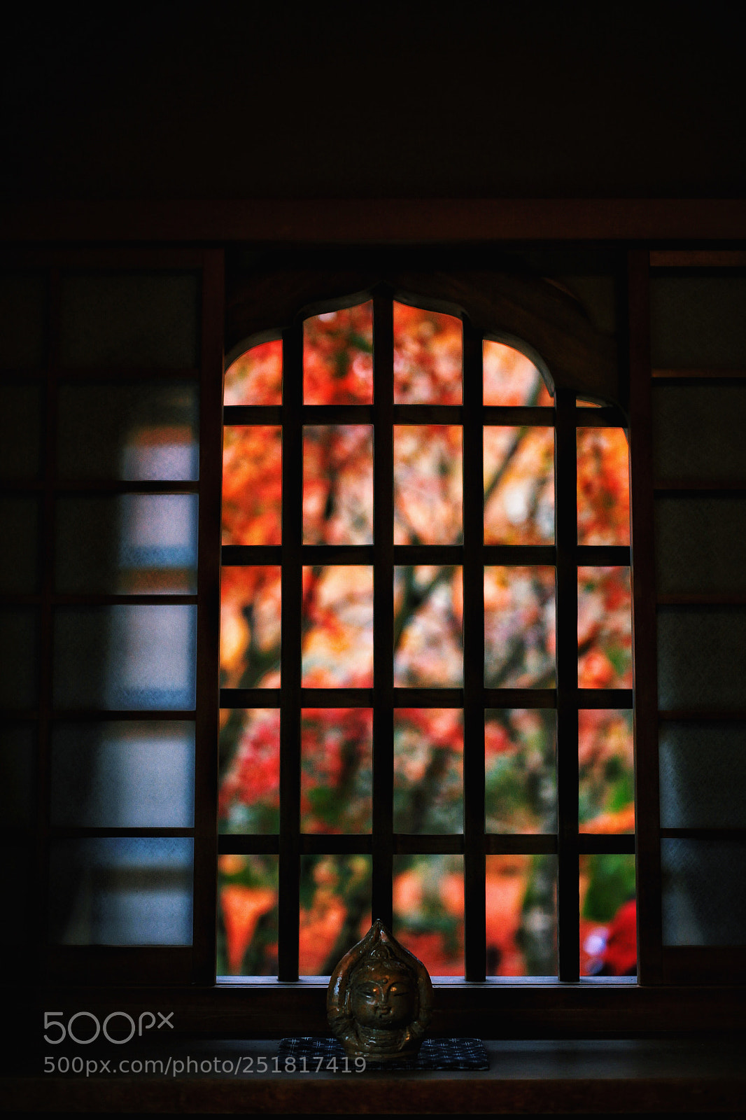 Canon EOS 5D Mark II sample photo. Untitled photography