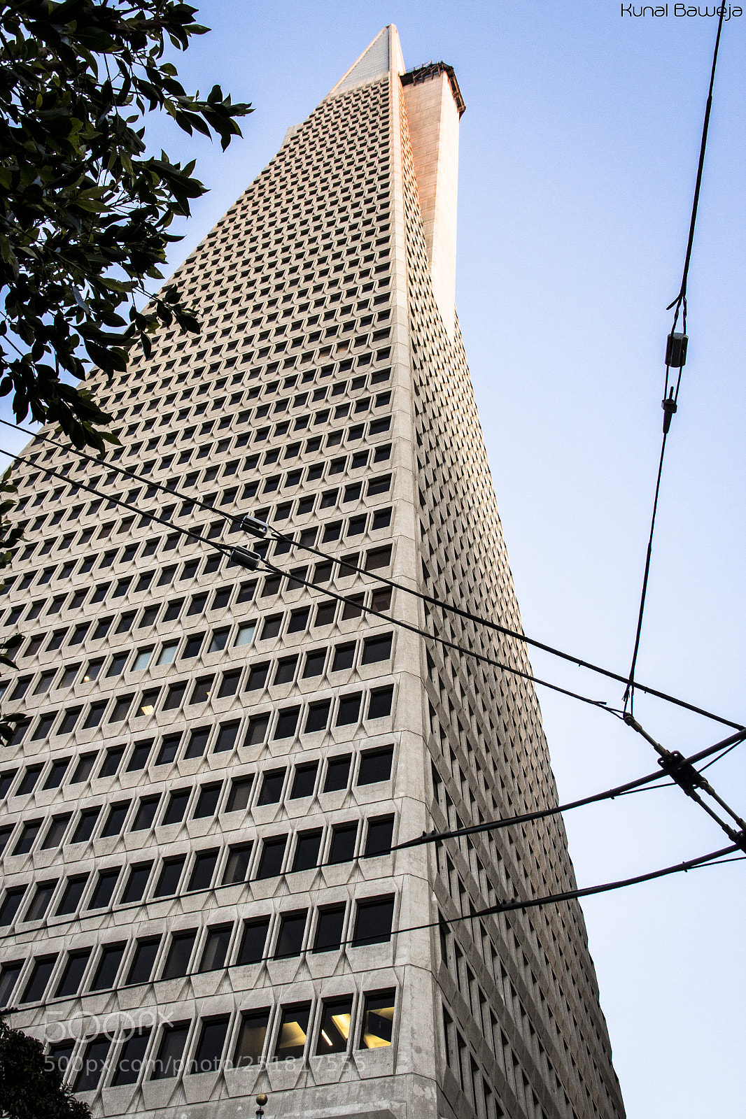 Canon EOS 600D (Rebel EOS T3i / EOS Kiss X5) sample photo. Transamerica pyramid photography