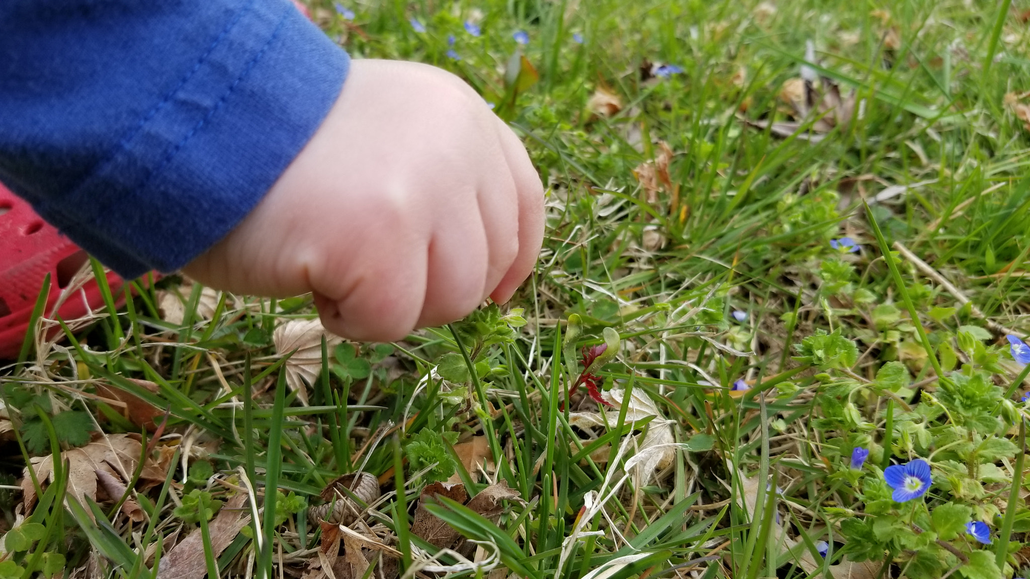 Samsung Galaxy S8 Active sample photo