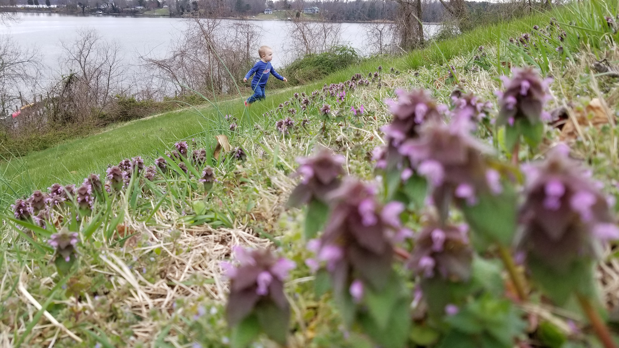 Samsung Galaxy S8 Active sample photo