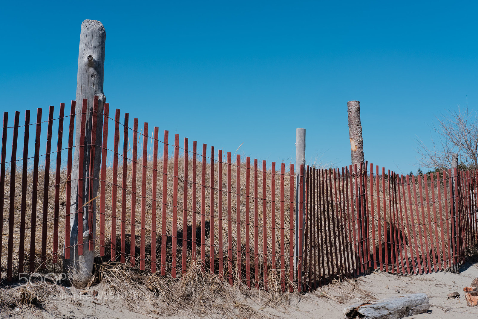 Fujifilm X-Pro2 sample photo. Hermit island photography