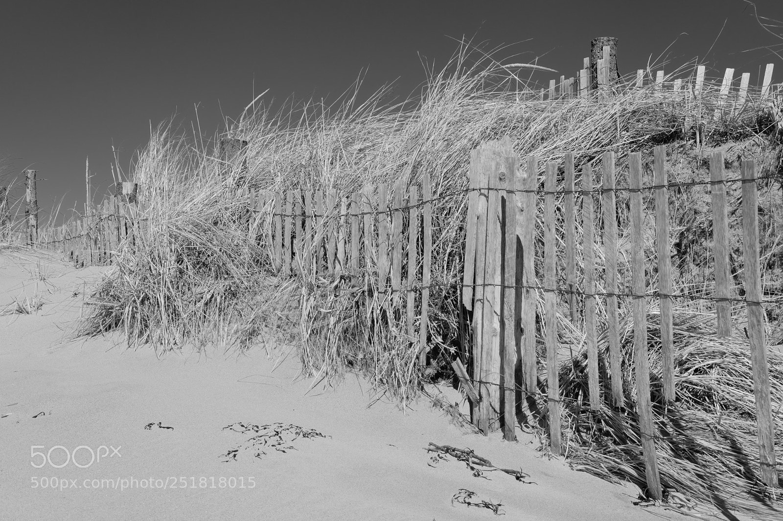 Fujifilm X-Pro2 sample photo. Hermit island photography