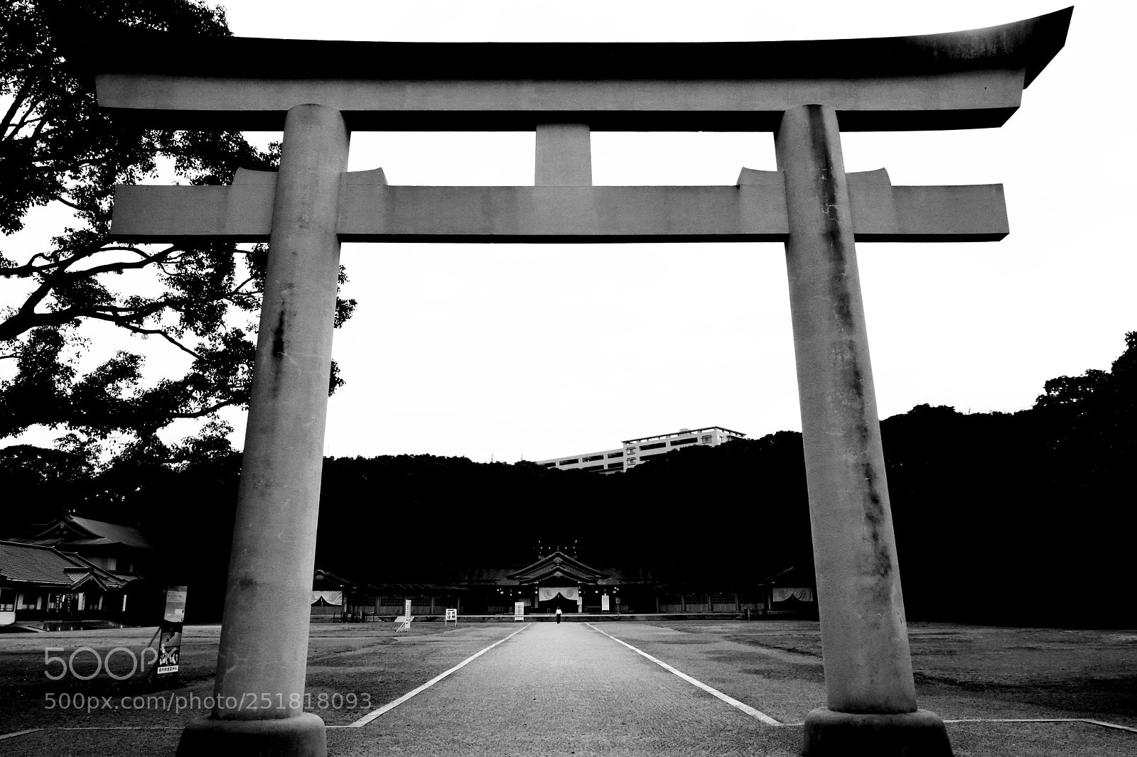 Nikon D5300 sample photo. Silence photography