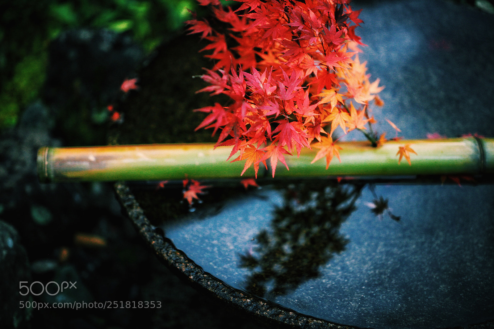 Canon EOS 5D Mark II sample photo. Untitled photography