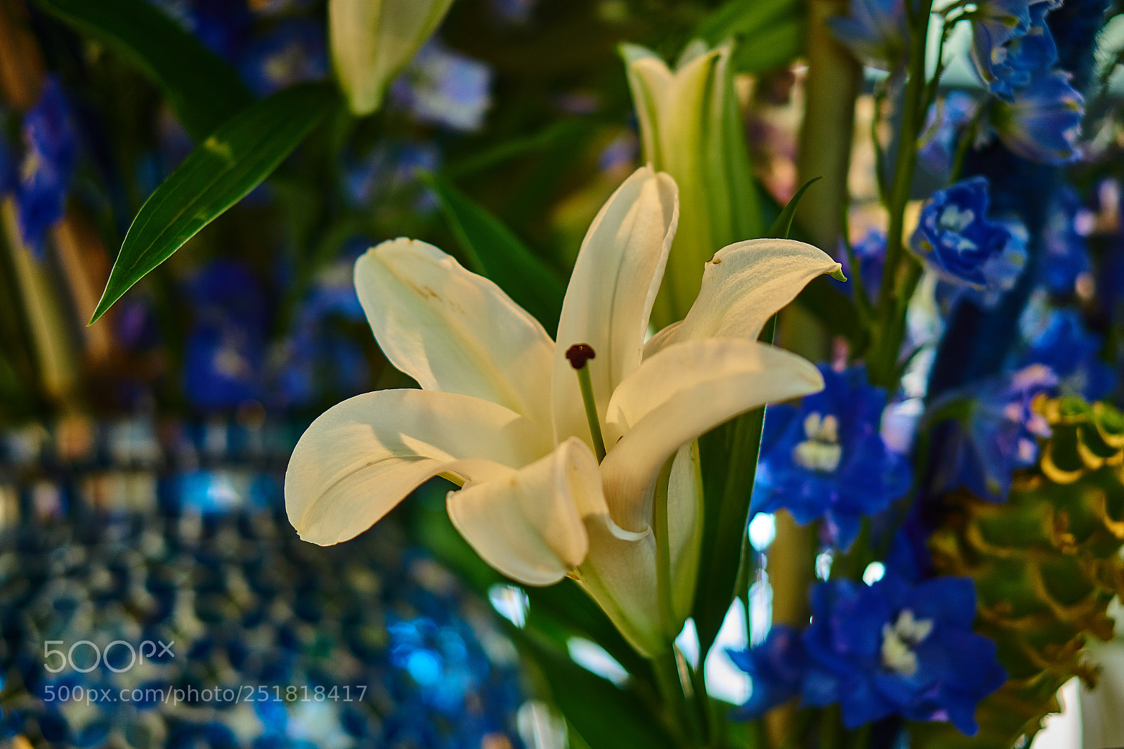 Sony a6000 sample photo. Spring 2018 photography