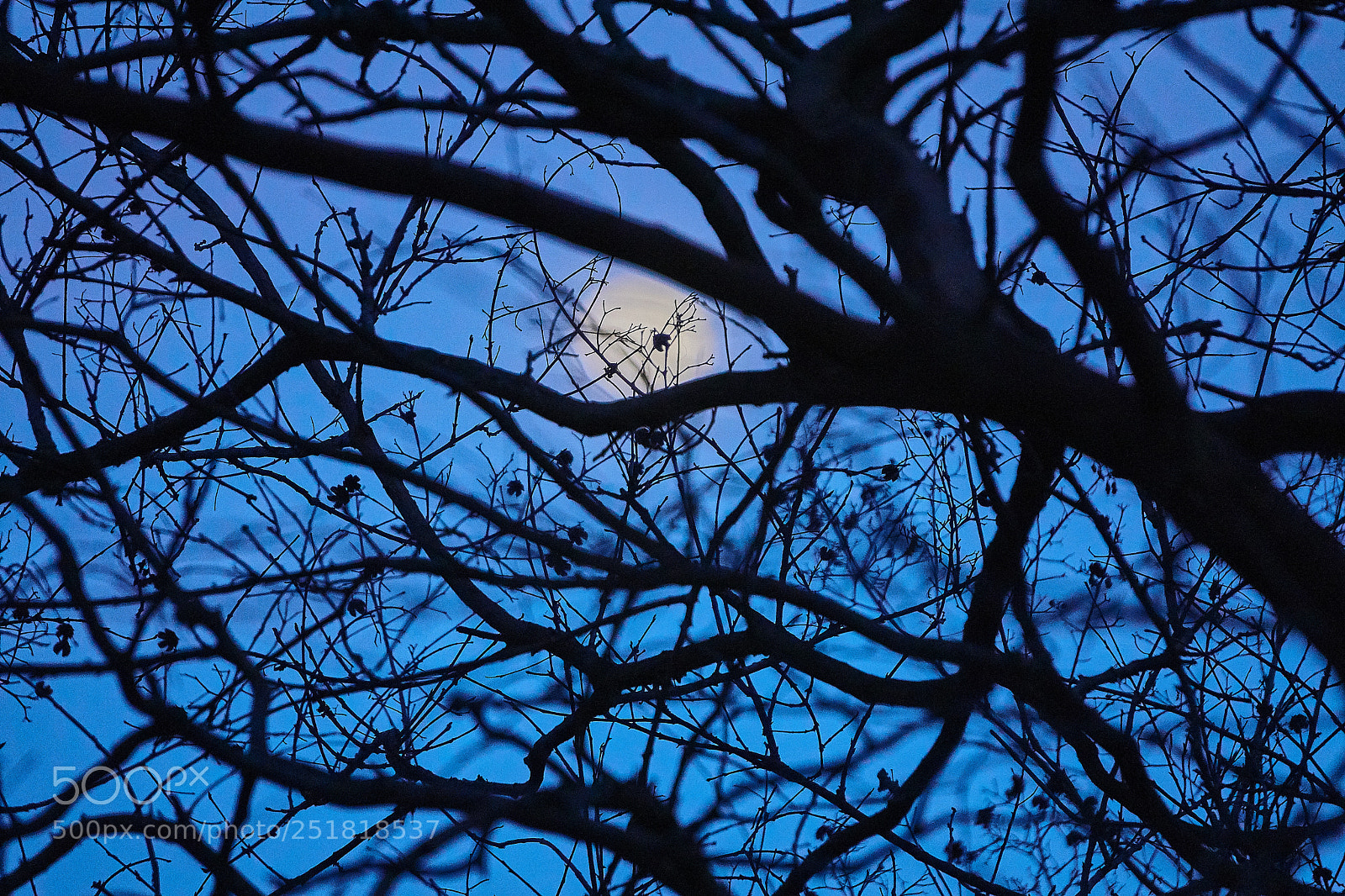Sony a6000 sample photo. Spring 2018 photography