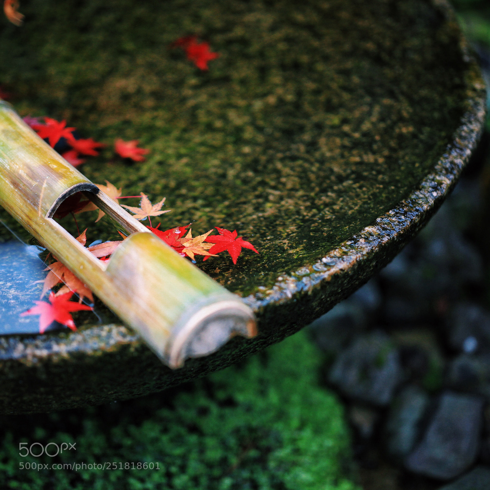 Canon EOS 5D Mark II sample photo. Untitled photography