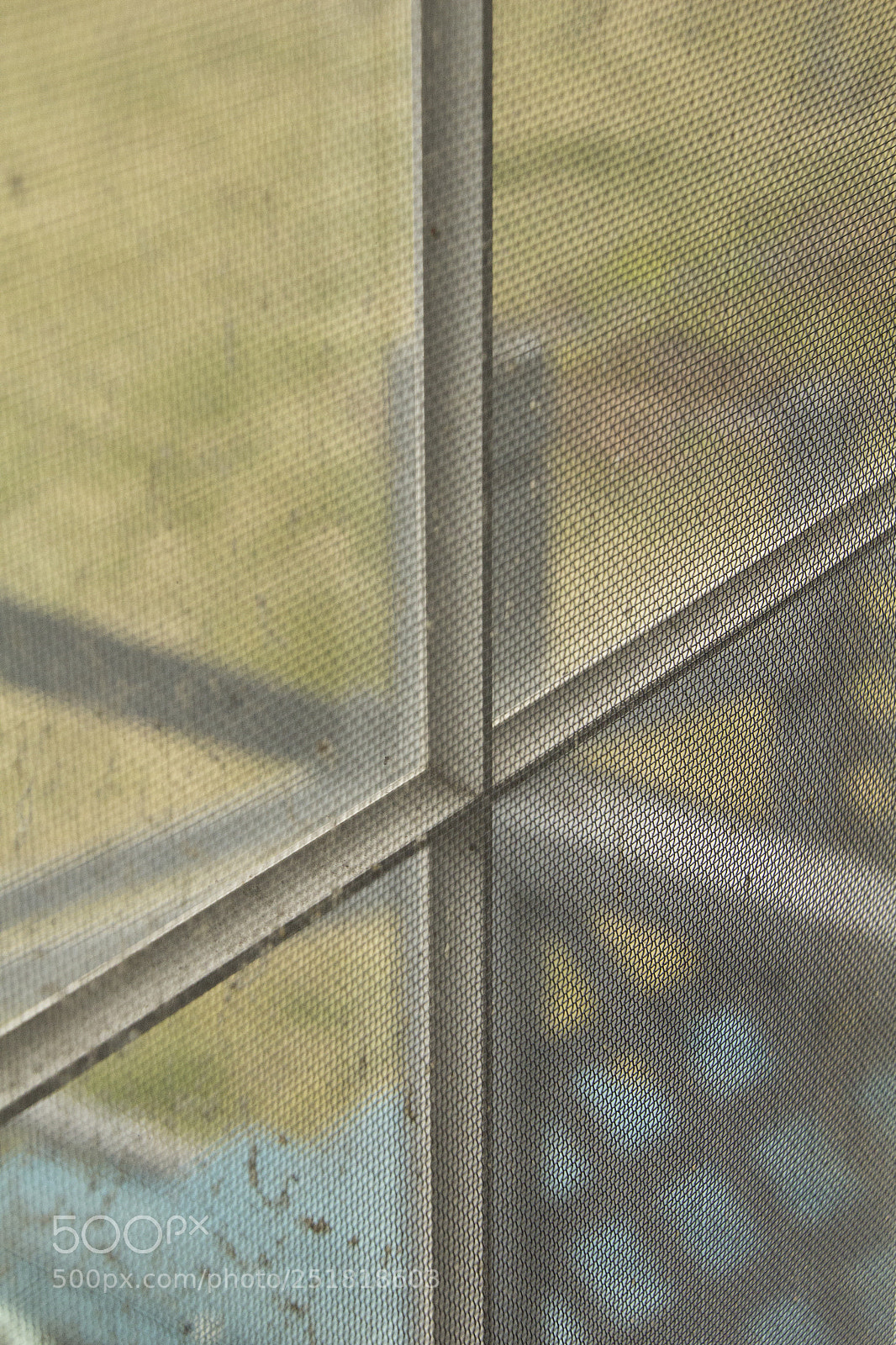 Canon EOS 1200D (EOS Rebel T5 / EOS Kiss X70 / EOS Hi) sample photo. Screen texture. photography