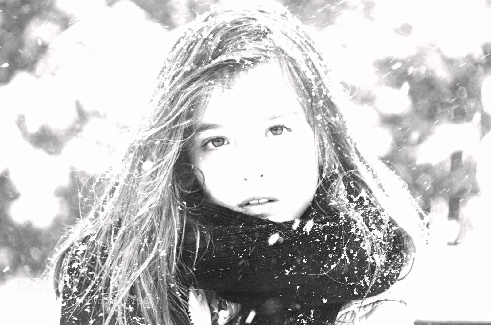 Nikon D7000 sample photo. Snow storm photography