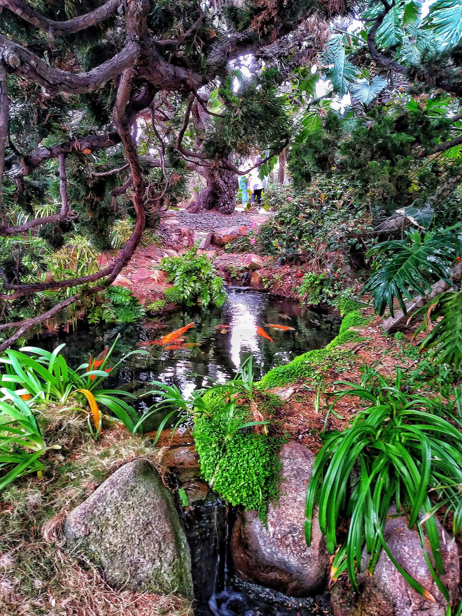 LG ARISTO sample photo. Peace photography