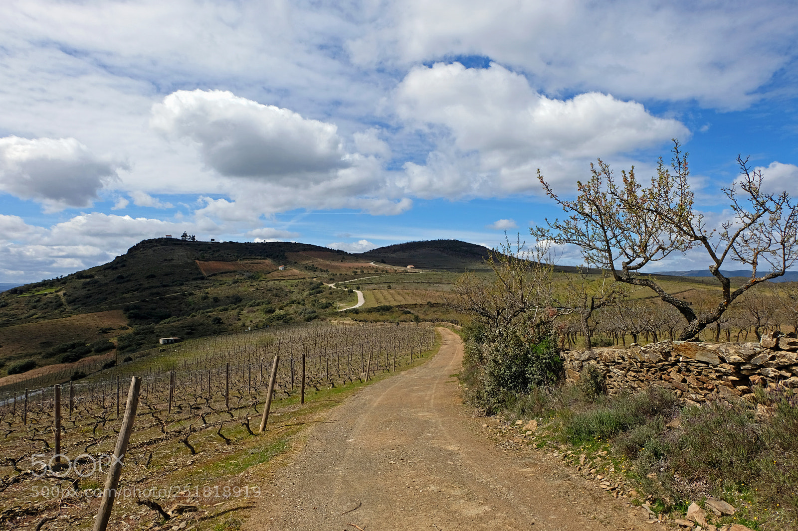 Fujifilm X-T20 sample photo. O campo e a photography