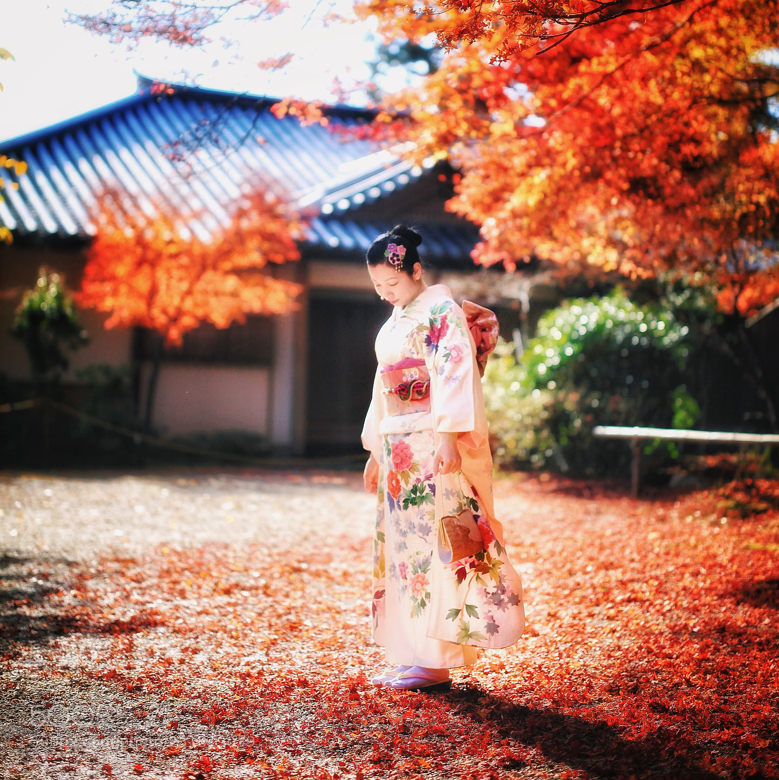 Canon EOS 5D Mark II sample photo. Untitled photography