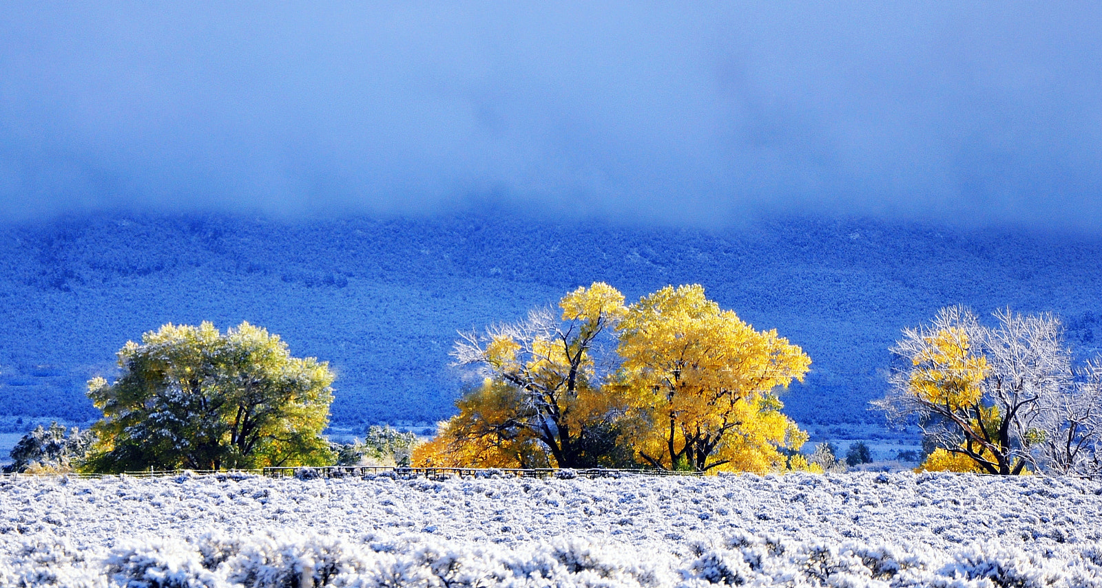 Nikon D90 sample photo. Taos firstsnow photography