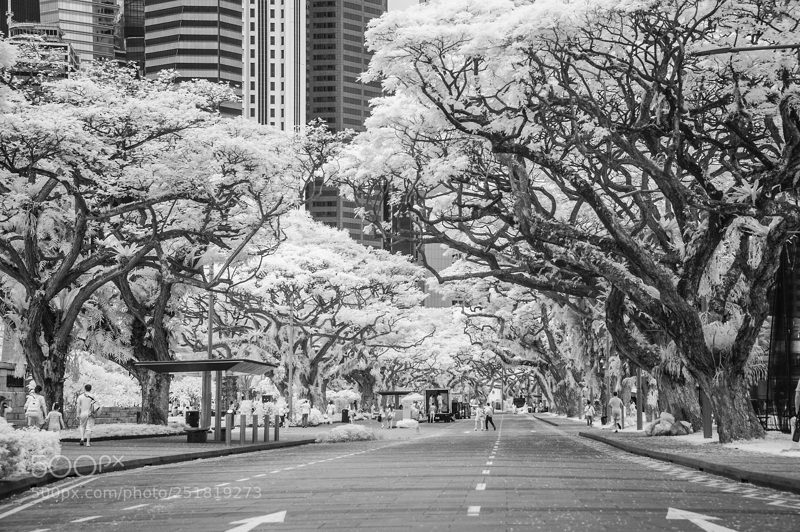 Nikon D700 sample photo. Sunday promenade in singapore photography