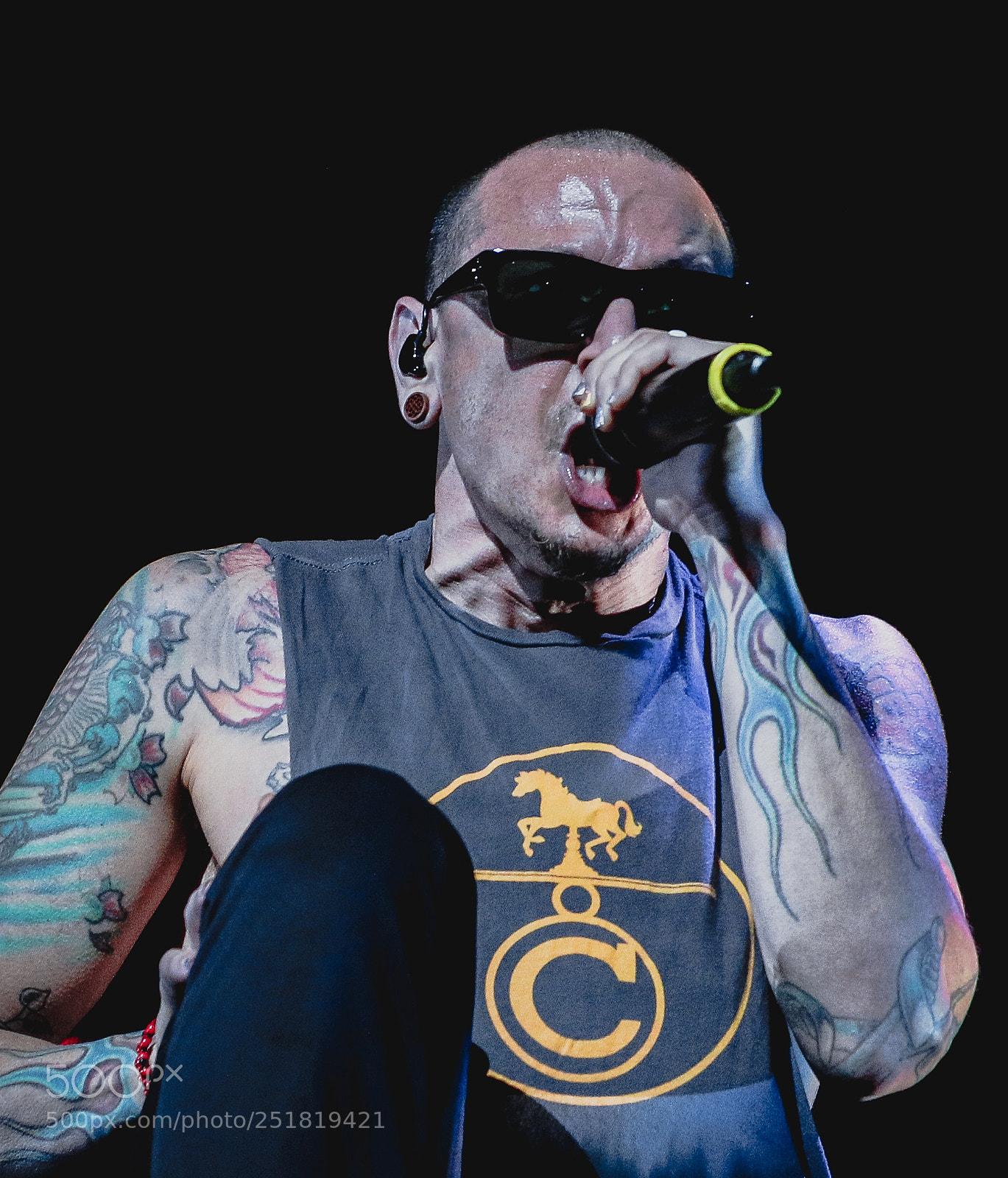 Canon EOS 70D sample photo. Linkin park - maximus photography
