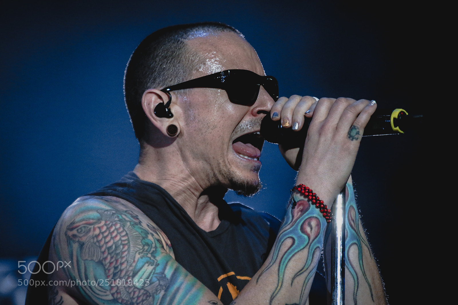 Canon EOS 70D sample photo. Linkin park - maximus photography