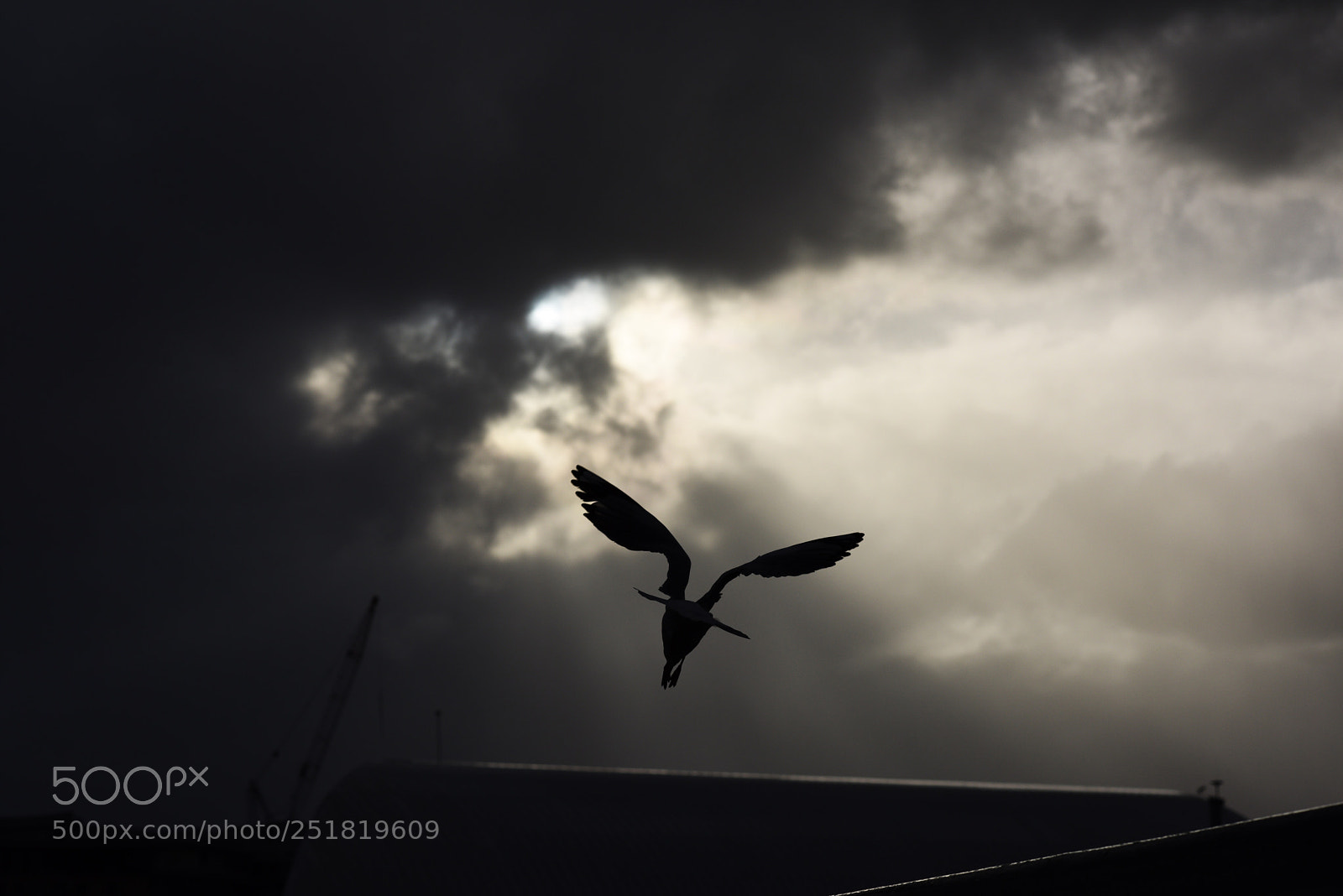Nikon D810 sample photo. Untitled photography