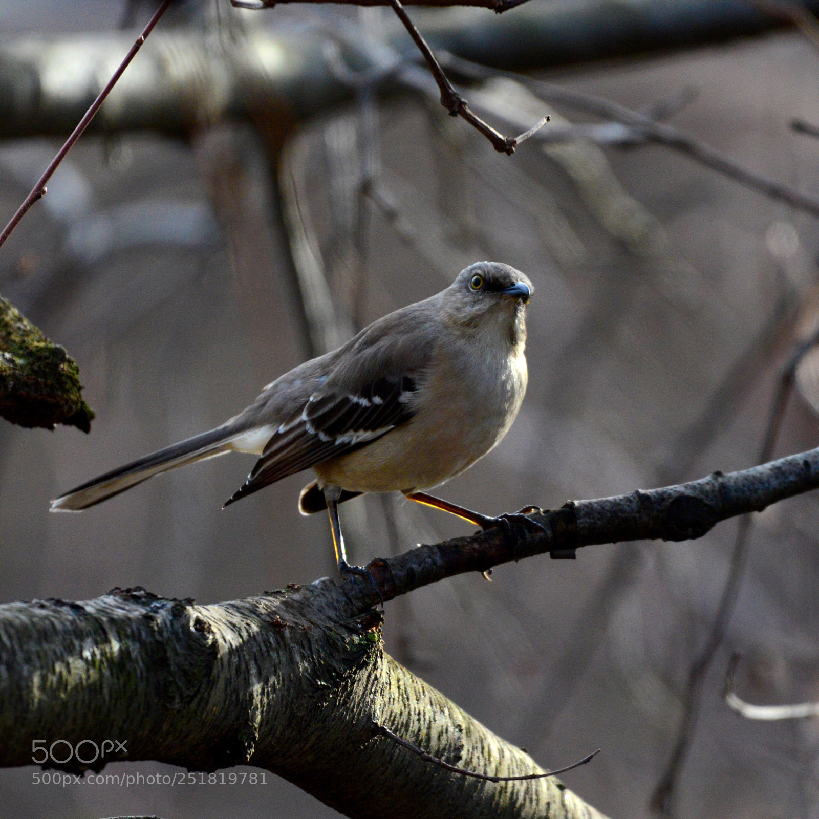 Nikon D600 sample photo. Untitled photography