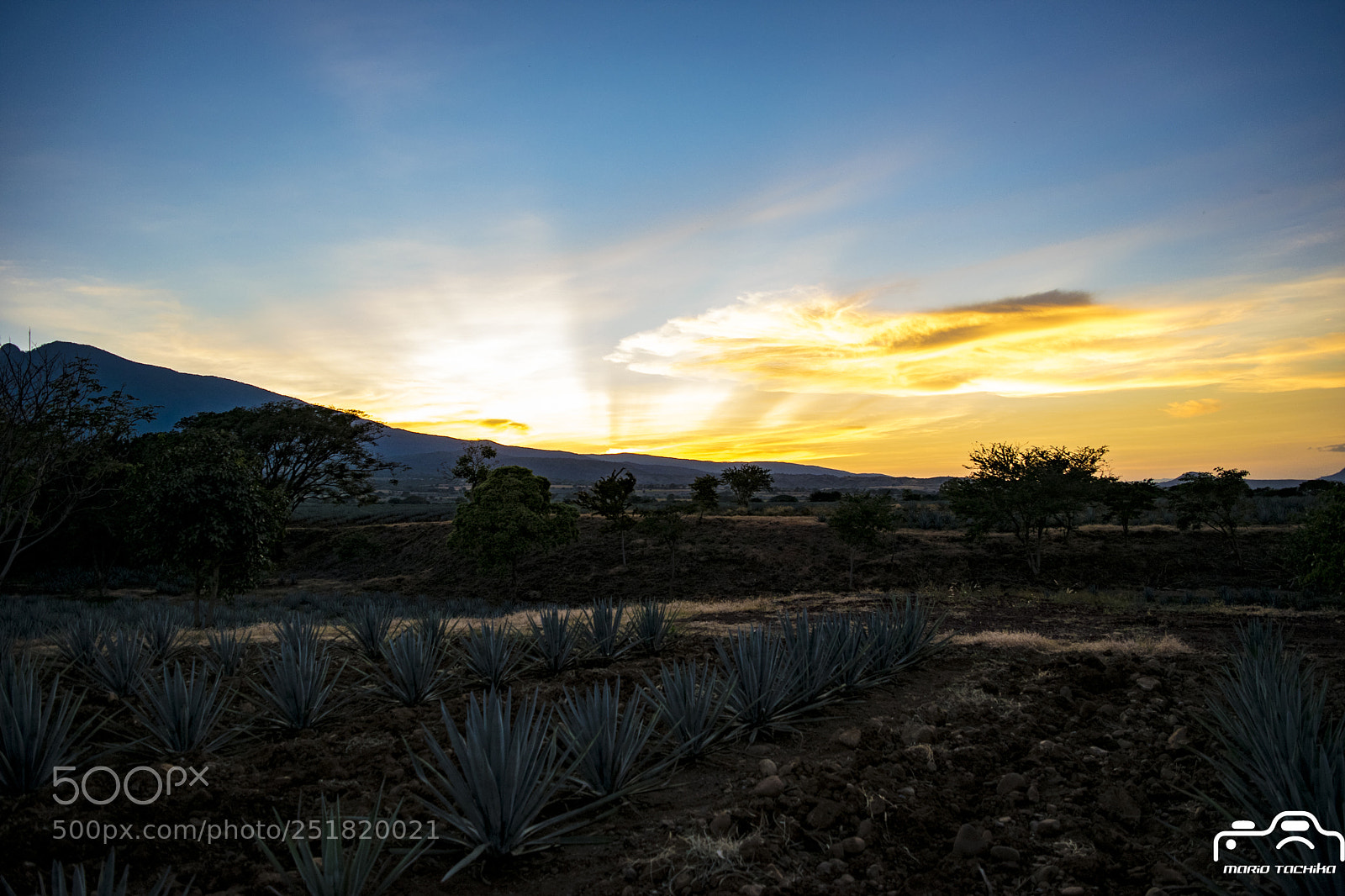 Nikon D3300 sample photo. Atardecer 2 // sunset 2 photography