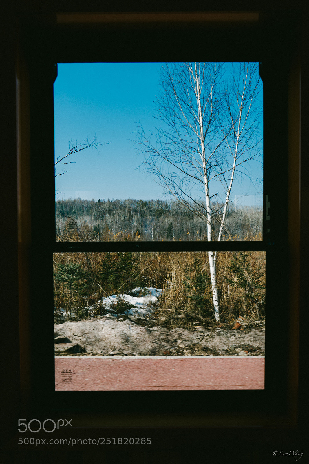 Sony a7R II sample photo. 窗 photography