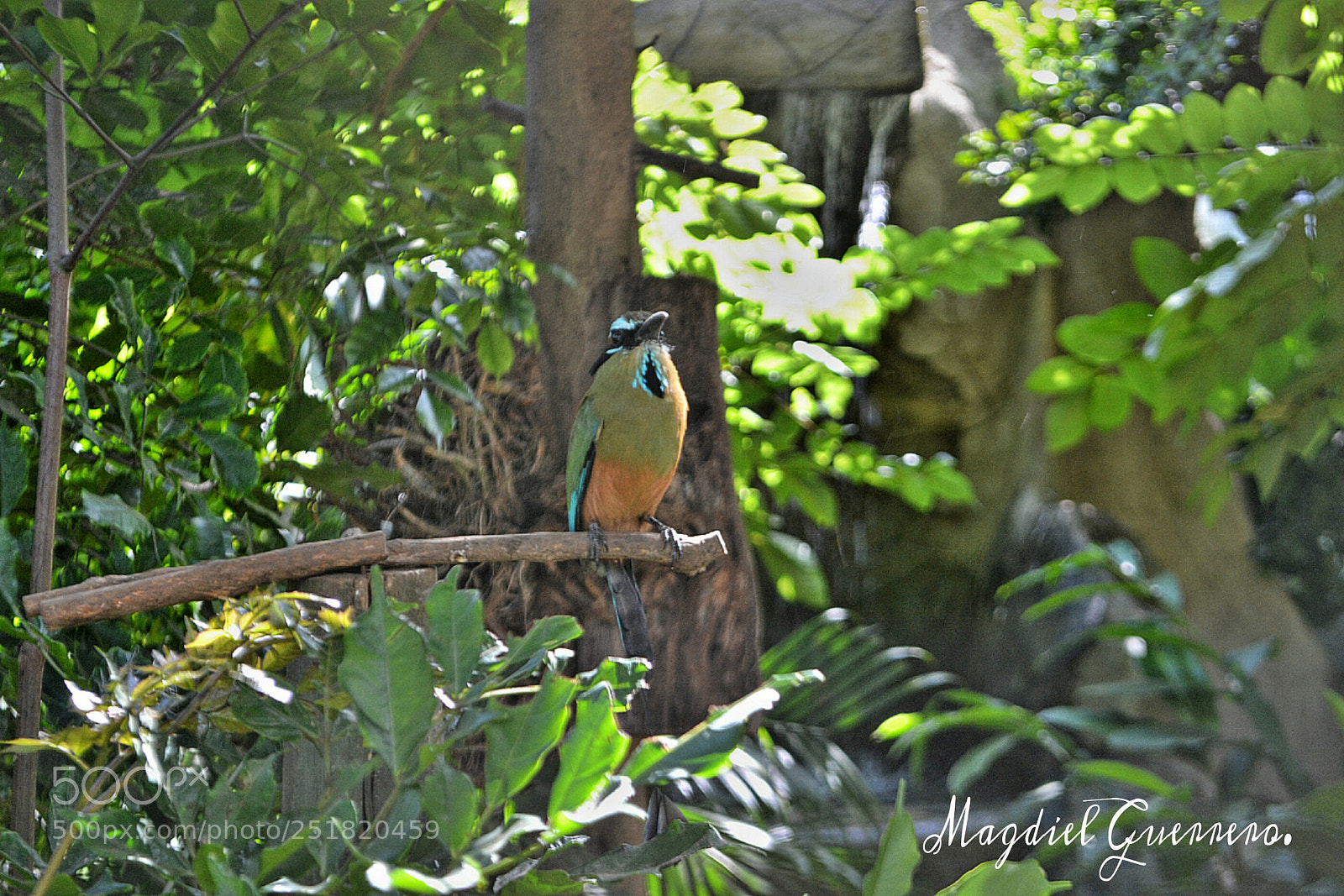 Nikon D3100 sample photo. Untitled photography