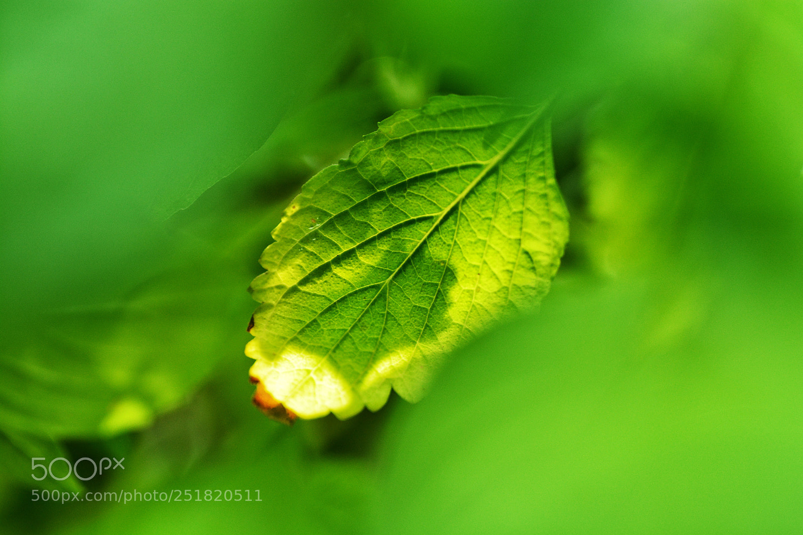 Nikon D7100 sample photo. Untitled photography