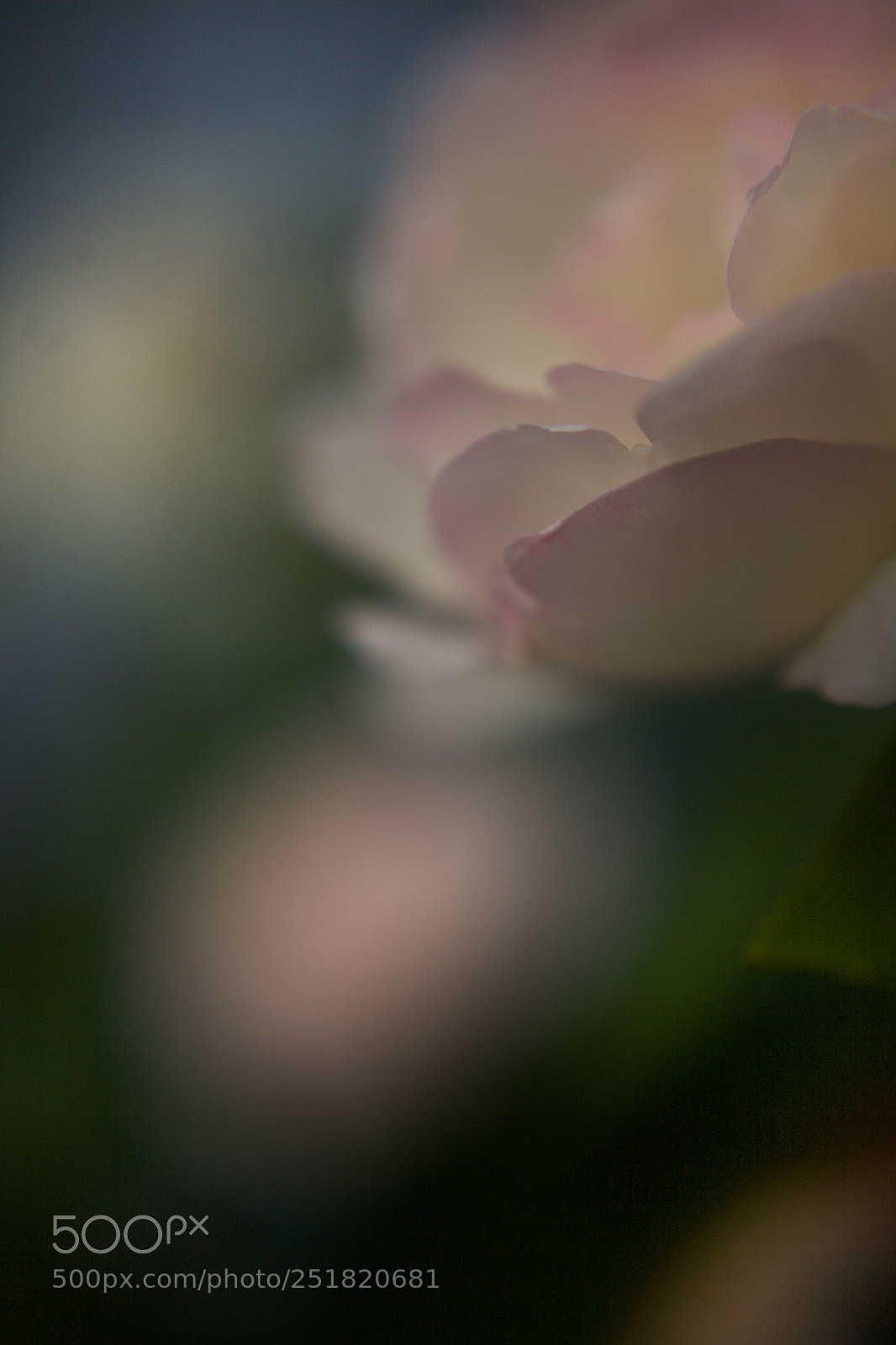 Canon EOS 5D Mark II sample photo. ~the south~ photography