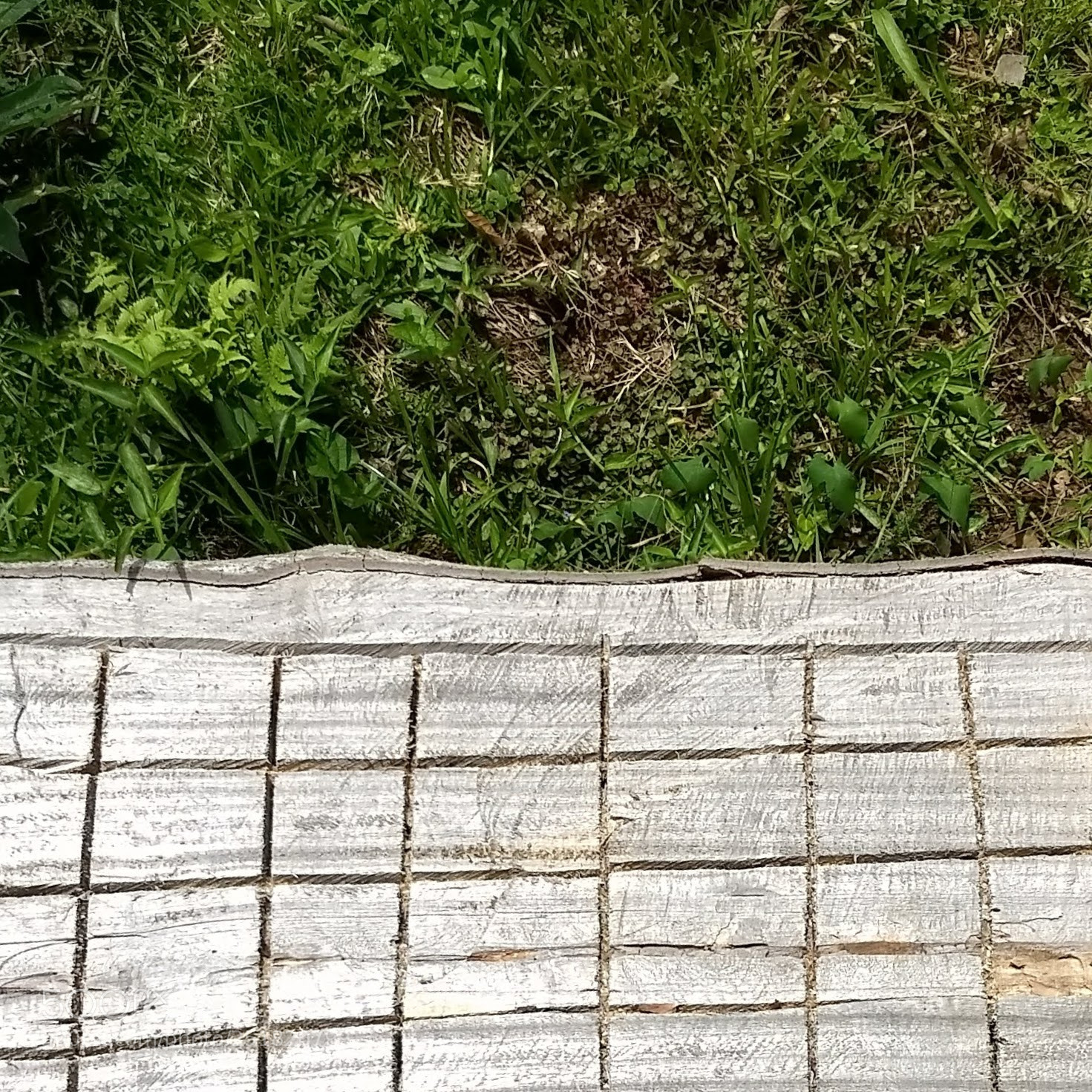 Motorola Moto G (5) Plus sample photo. Interface3 photography