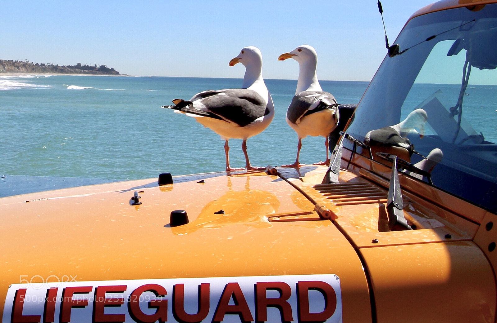 Canon EOS 700D (EOS Rebel T5i / EOS Kiss X7i) sample photo. California style photography