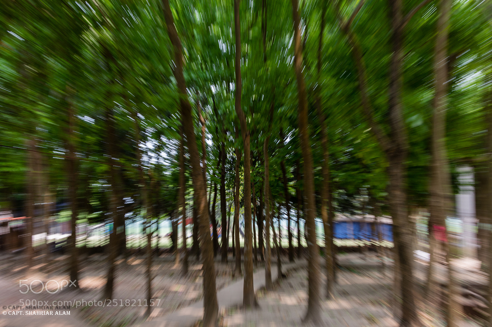 Nikon D7200 sample photo. Untitled photography