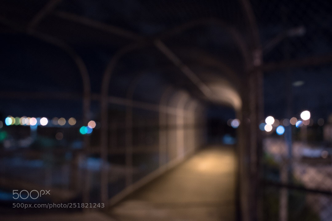 Nikon D5600 sample photo. Blur in the path. photography