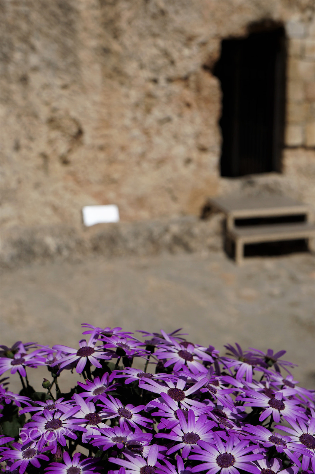 Sony FE 28-70mm F3.5-5.6 OSS sample photo. My easter remembrance photography