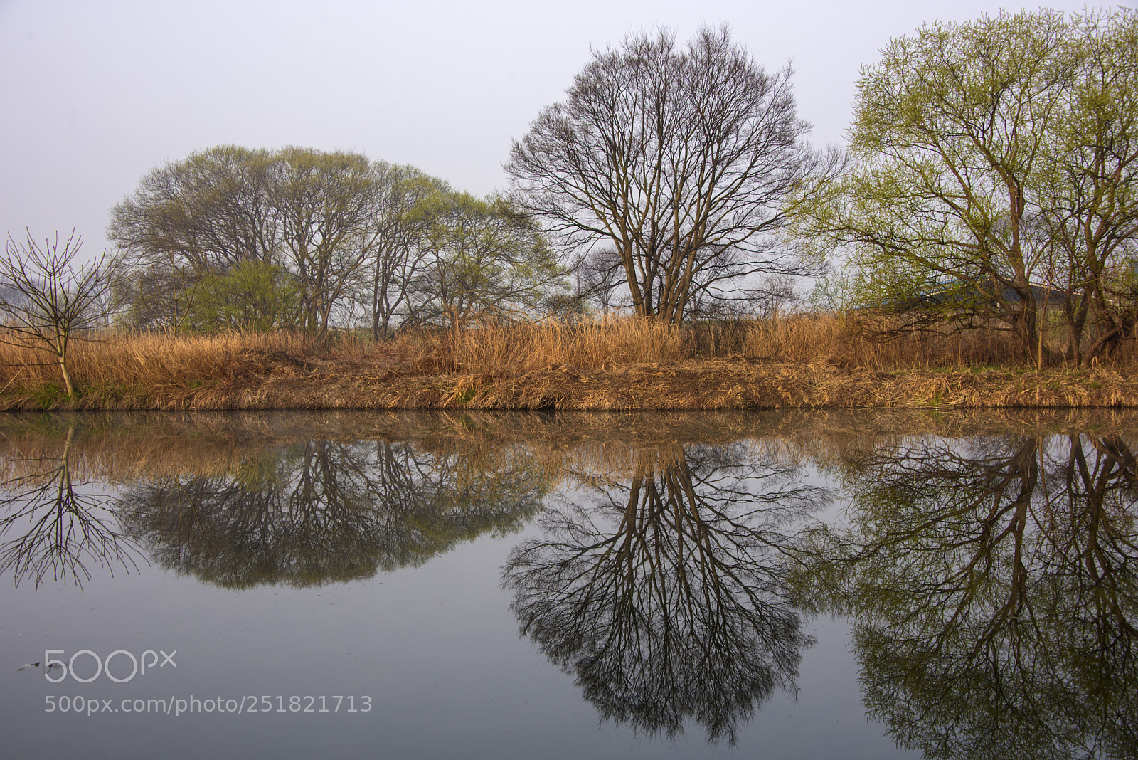 Nikon D810 sample photo. Spring4 photography
