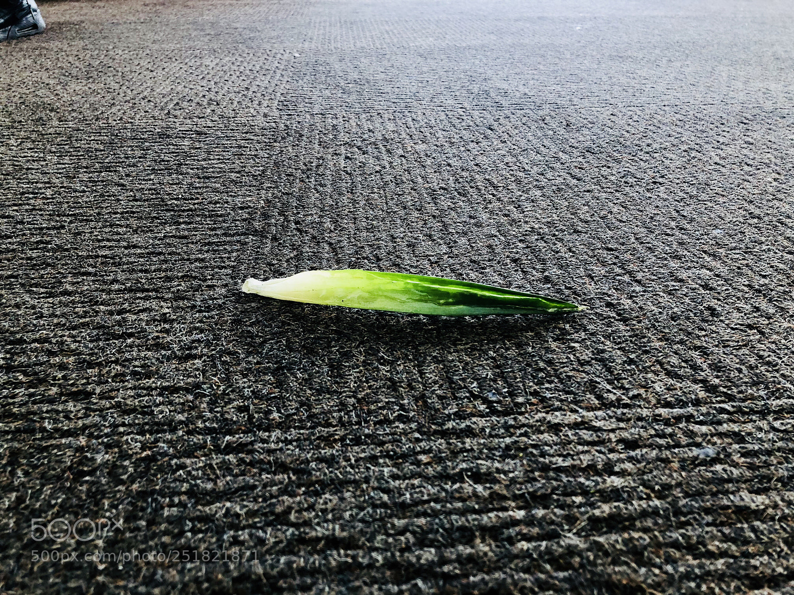 Apple iPhone X sample photo. Untitled photography