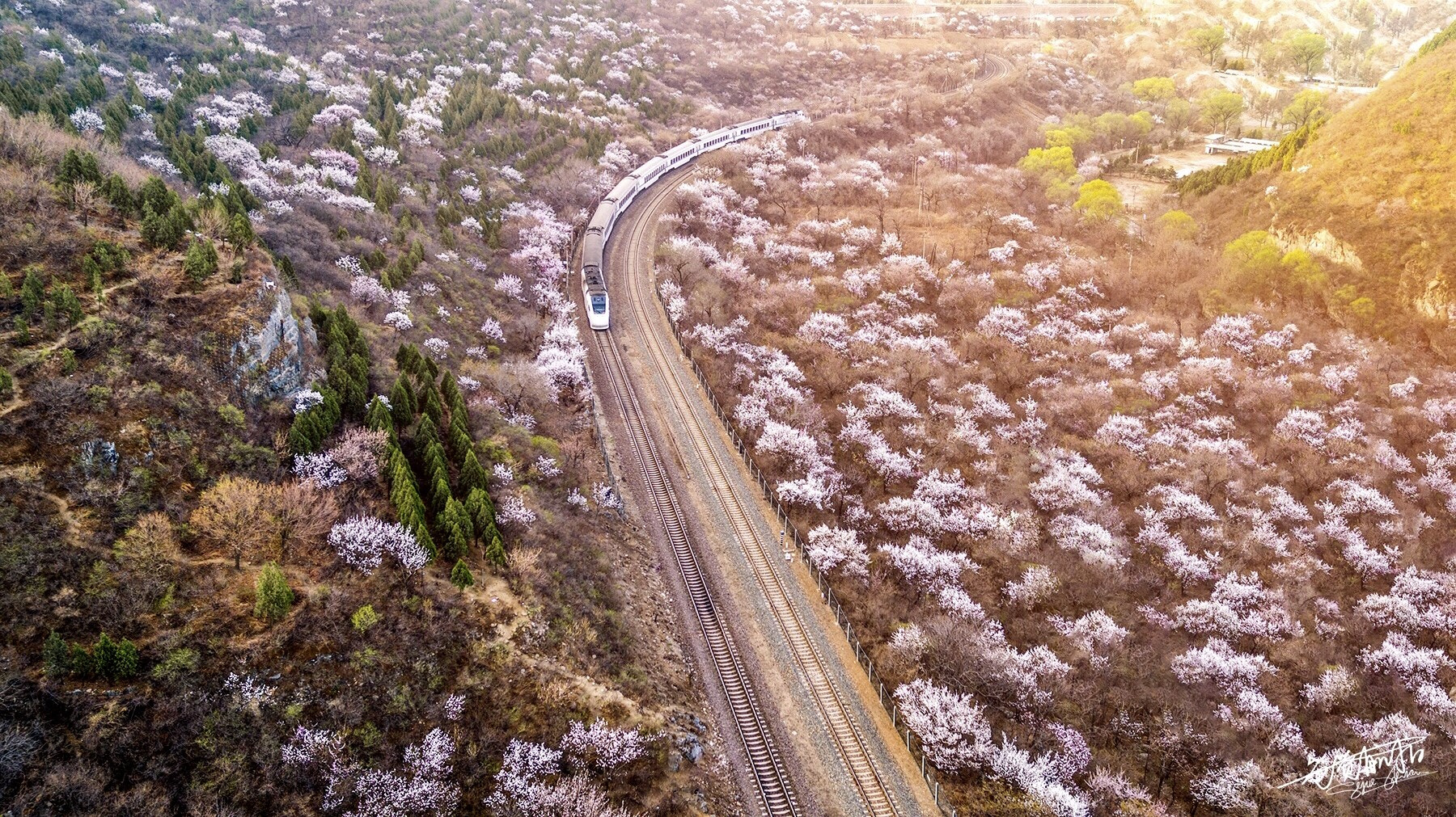 DJI FC550 sample photo. A train for spring photography