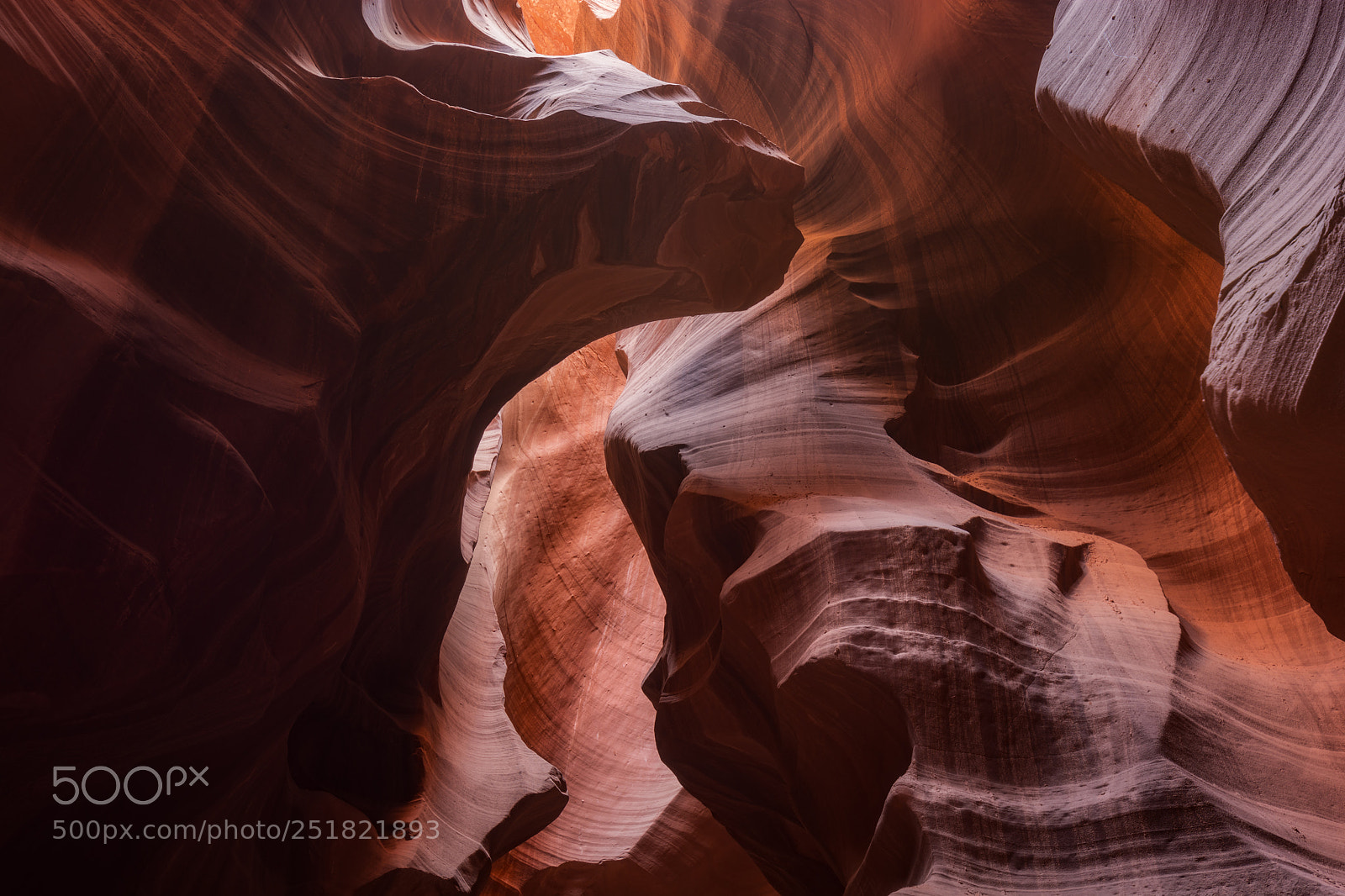 Nikon D7100 sample photo. Antelope abstract photography
