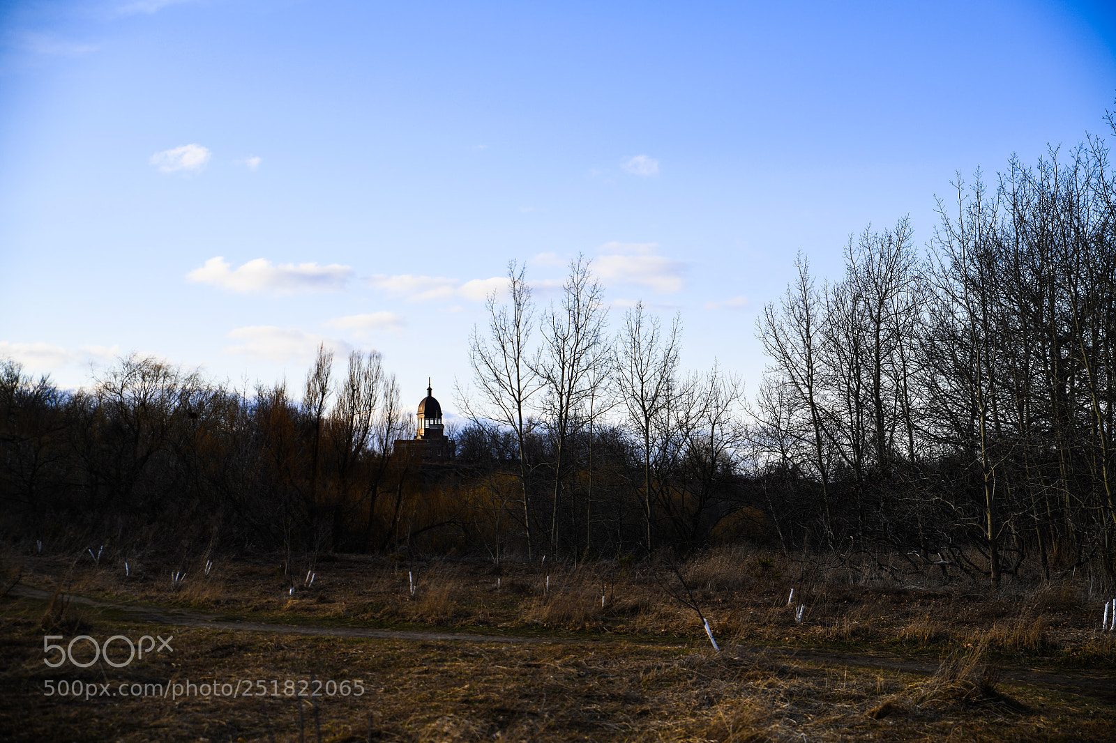 Nikon D850 sample photo. Rural photography