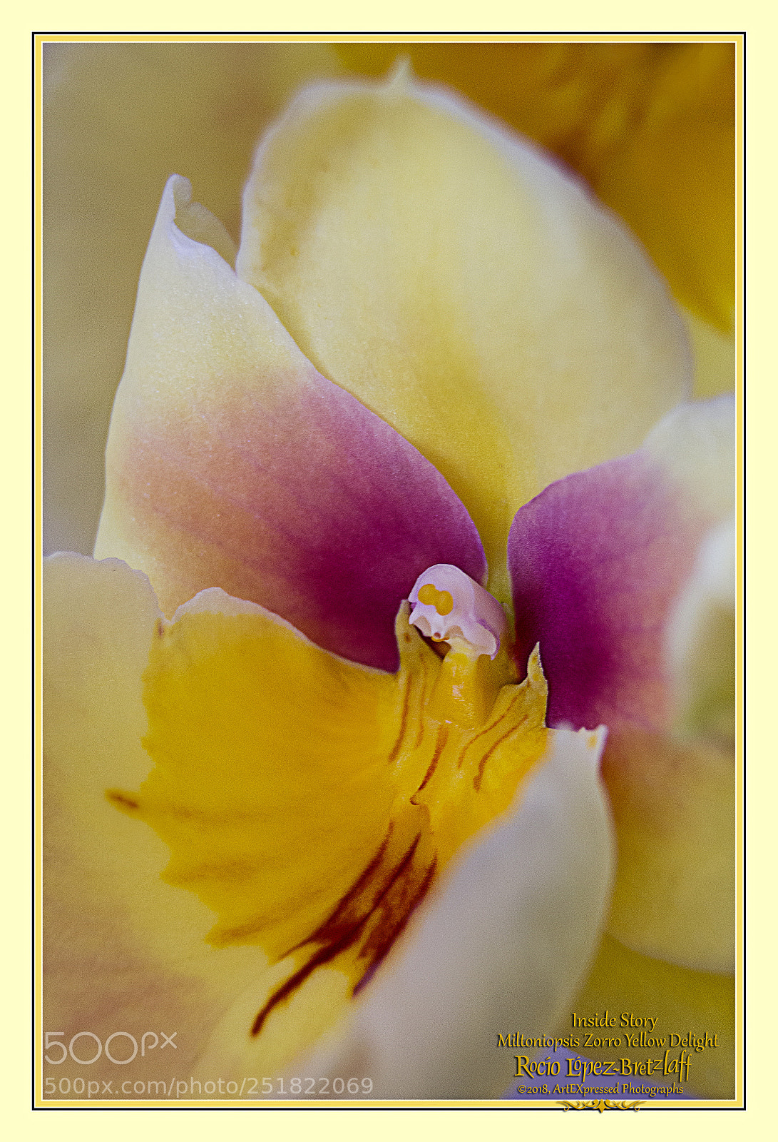 Canon EOS 60D sample photo. Inside story photography